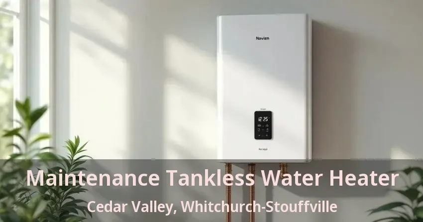 Maintenance Tankless Water Heater Cedar Valley, Whitchurch-Stouffville - ON Maintenance Tankless Water Heater Cedar Valley, Whitchurch-Stouffville - ON