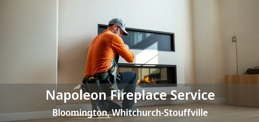 Napoleon Fireplace Service Bloomington, Whitchurch-Stouffville - ON Napoleon Fireplace Service Bloomington, Whitchurch-Stouffville - ON