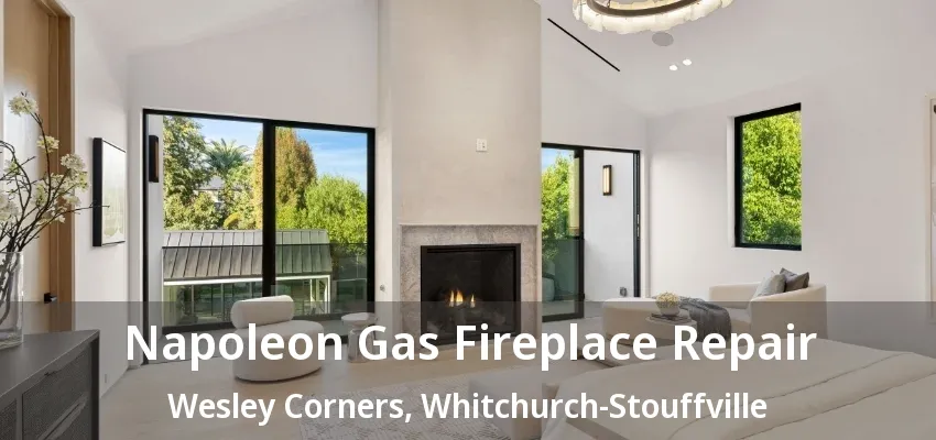 Napoleon Gas Fireplace Repair Wesley Corners, Whitchurch-Stouffville - ON