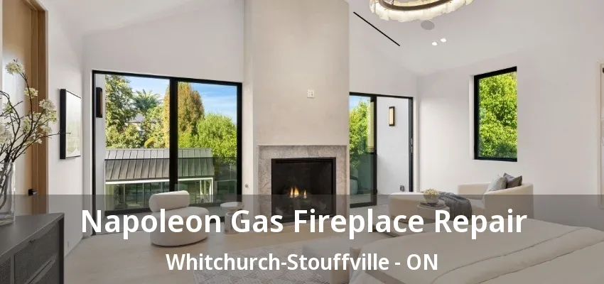 Napoleon Gas Fireplace Repair Whitchurch-Stouffville - ON Napoleon Gas Fireplace Repair Whitchurch-Stouffville - ON