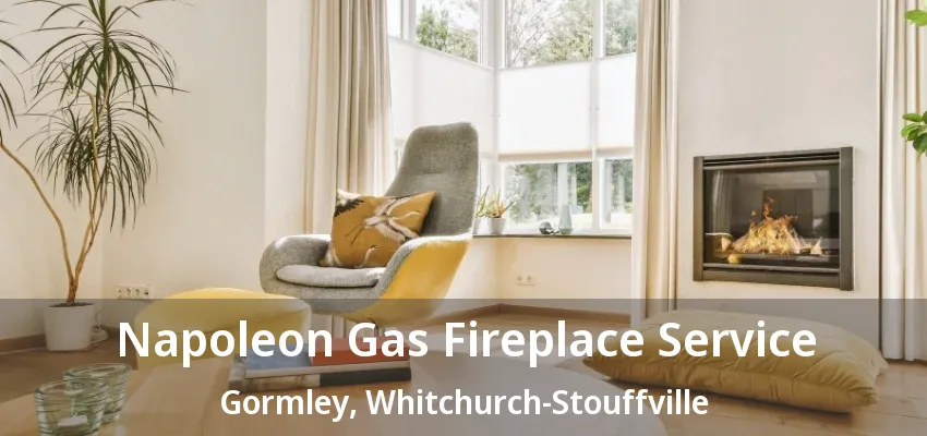 Napoleon Gas Fireplace Service Gormley, Whitchurch-Stouffville - ON Napoleon Gas Fireplace Service Gormley, Whitchurch-Stouffville - ON