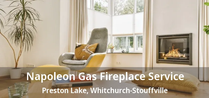 Napoleon Gas Fireplace Service Preston Lake, Whitchurch-Stouffville - ON