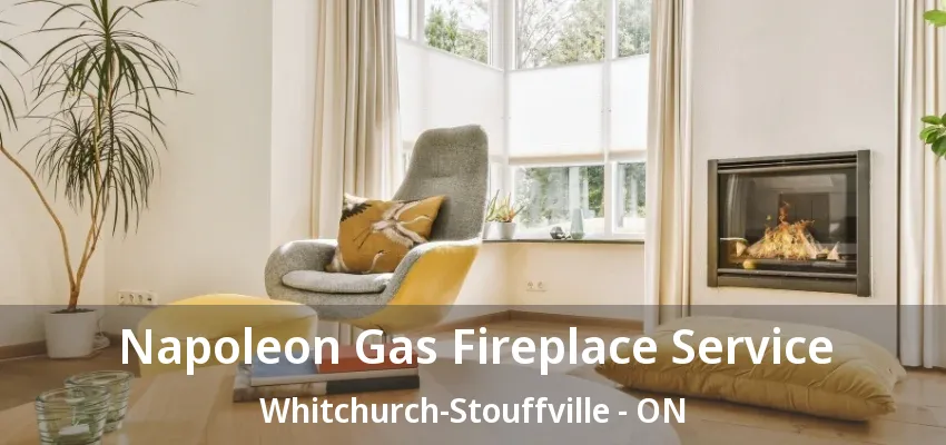 Napoleon Gas Fireplace Service Whitchurch-Stouffville - ON Napoleon Gas Fireplace Service Whitchurch-Stouffville - ON