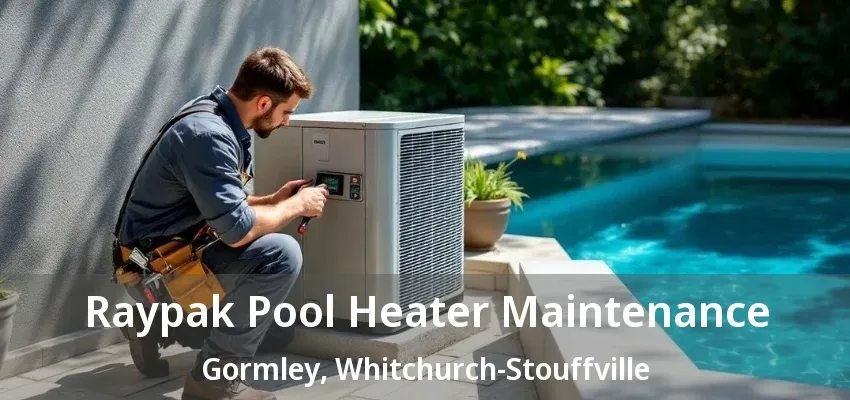 Raypak Pool Heater Maintenance Gormley, Whitchurch-Stouffville - ON Raypak Pool Heater Maintenance Gormley, Whitchurch-Stouffville - ON
