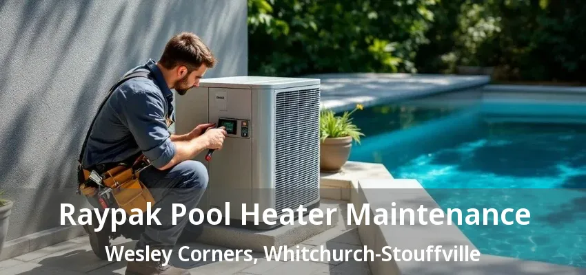 Raypak Pool Heater Maintenance Wesley Corners, Whitchurch-Stouffville - ON Raypak Pool Heater Maintenance Wesley Corners, Whitchurch-Stouffville - ON