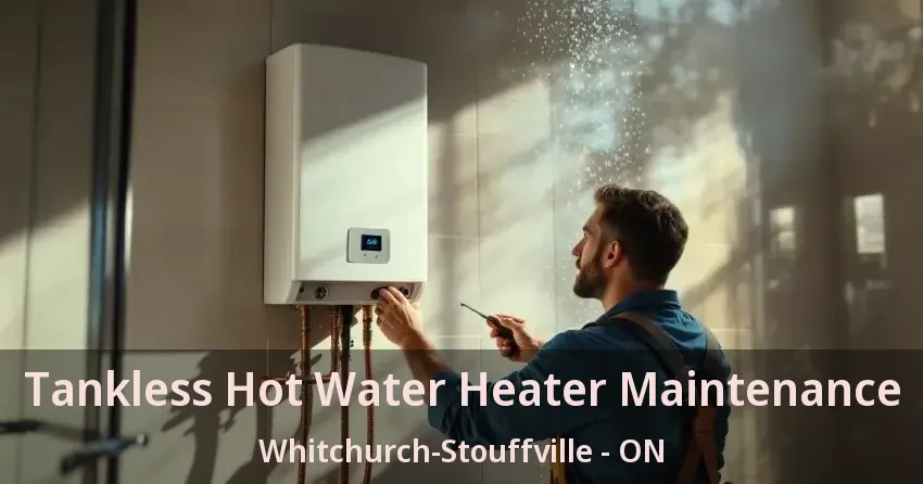 Tankless Hot Water Heater Maintenance Whitchurch-Stouffville - ON