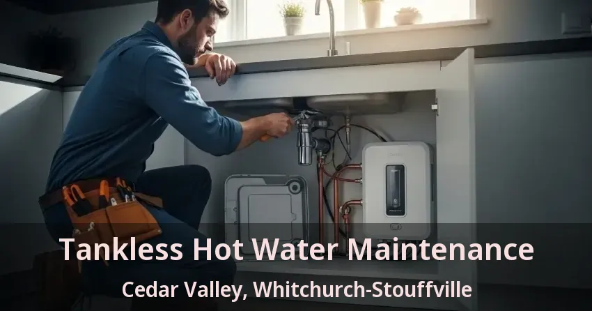 Tankless Hot Water Maintenance Cedar Valley, Whitchurch-Stouffville - ON
