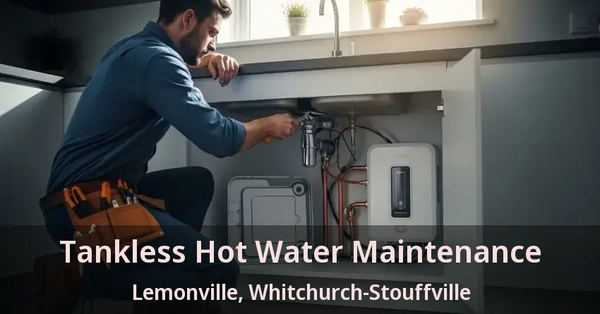 Tankless Hot Water Maintenance Lemonville, Whitchurch-Stouffville - ON