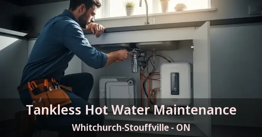 Tankless Hot Water Maintenance Whitchurch-Stouffville - ON Tankless Hot Water Maintenance Whitchurch-Stouffville - ON