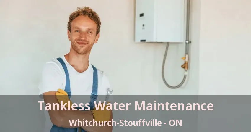 Tankless Water Maintenance Whitchurch-Stouffville - ON Tankless Water Maintenance Whitchurch-Stouffville - ON